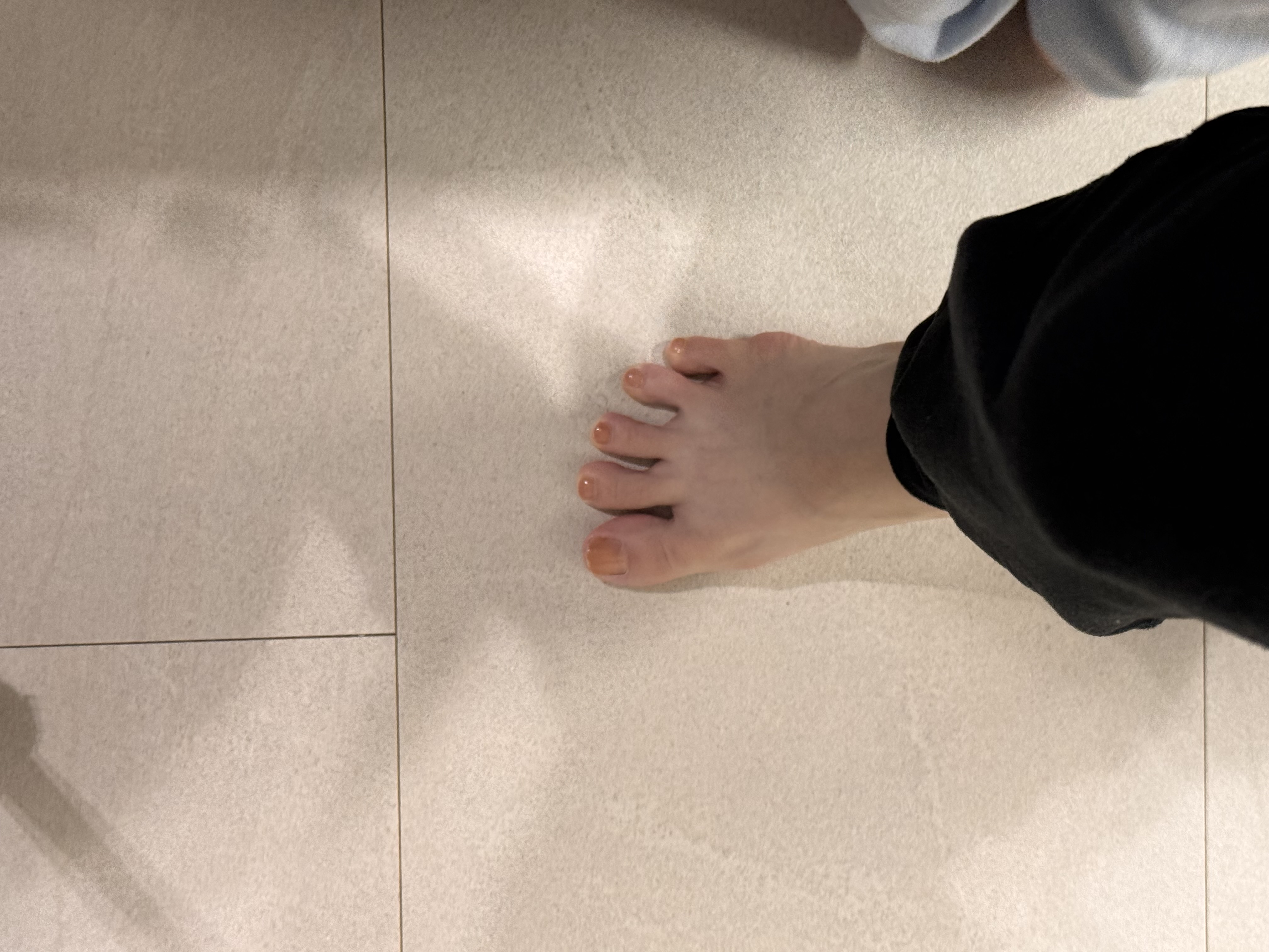 IMG 1156